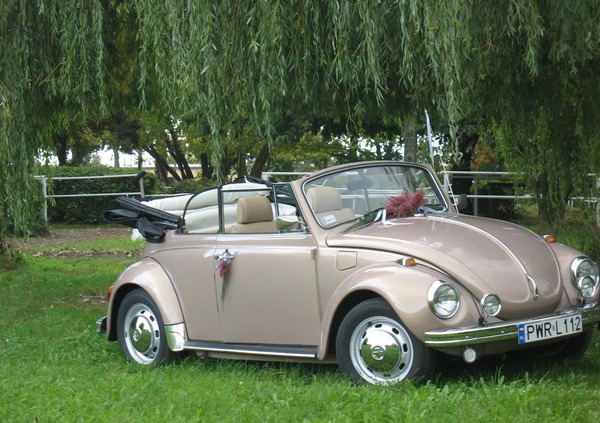 Volkswagen Garbus cena 95000 przebieg: 86000, rok produkcji 1971 z Września małe 667